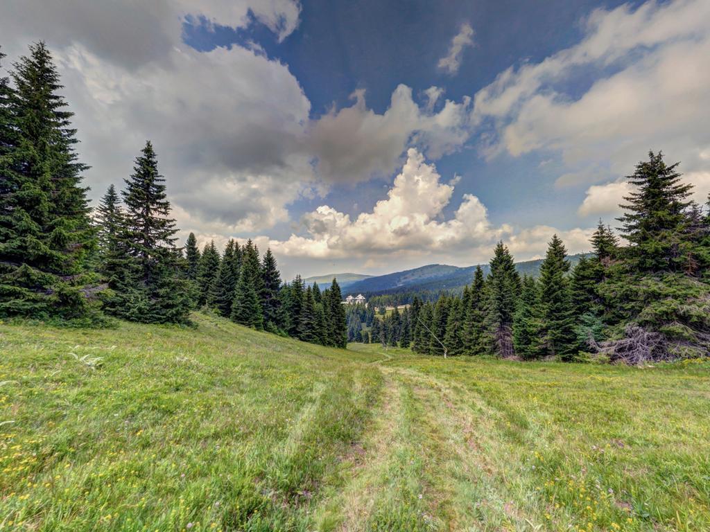 Hotel Angella Kopaonik Kültér fotó